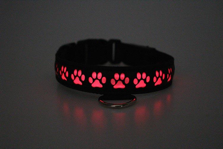 Pup Collar