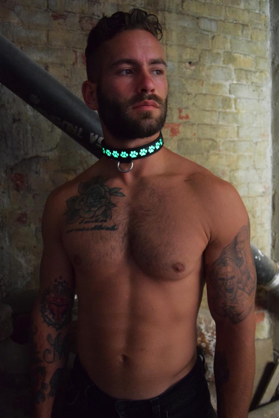 Pup Collar