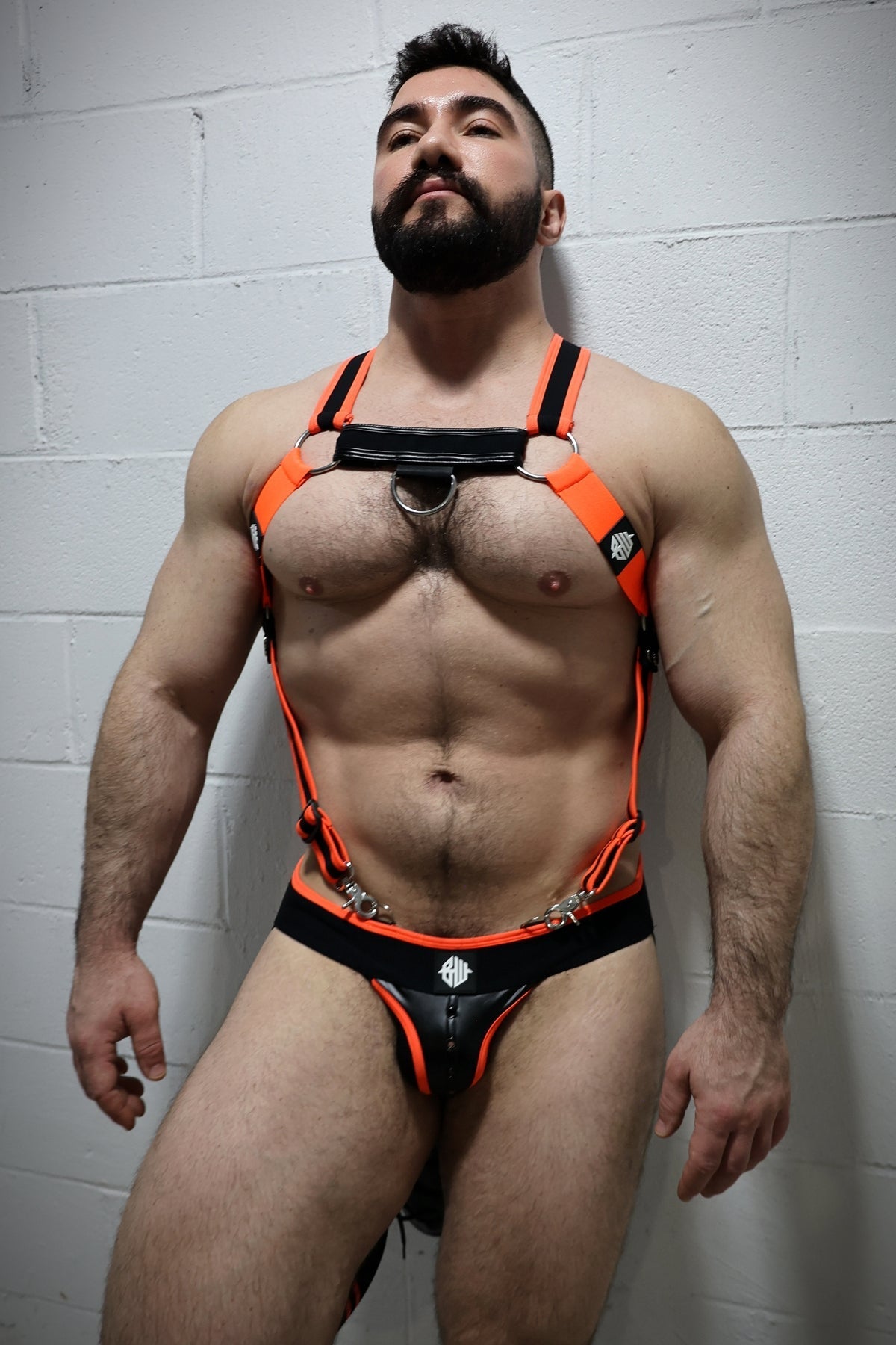 After Dark Body Harness - Breedwell