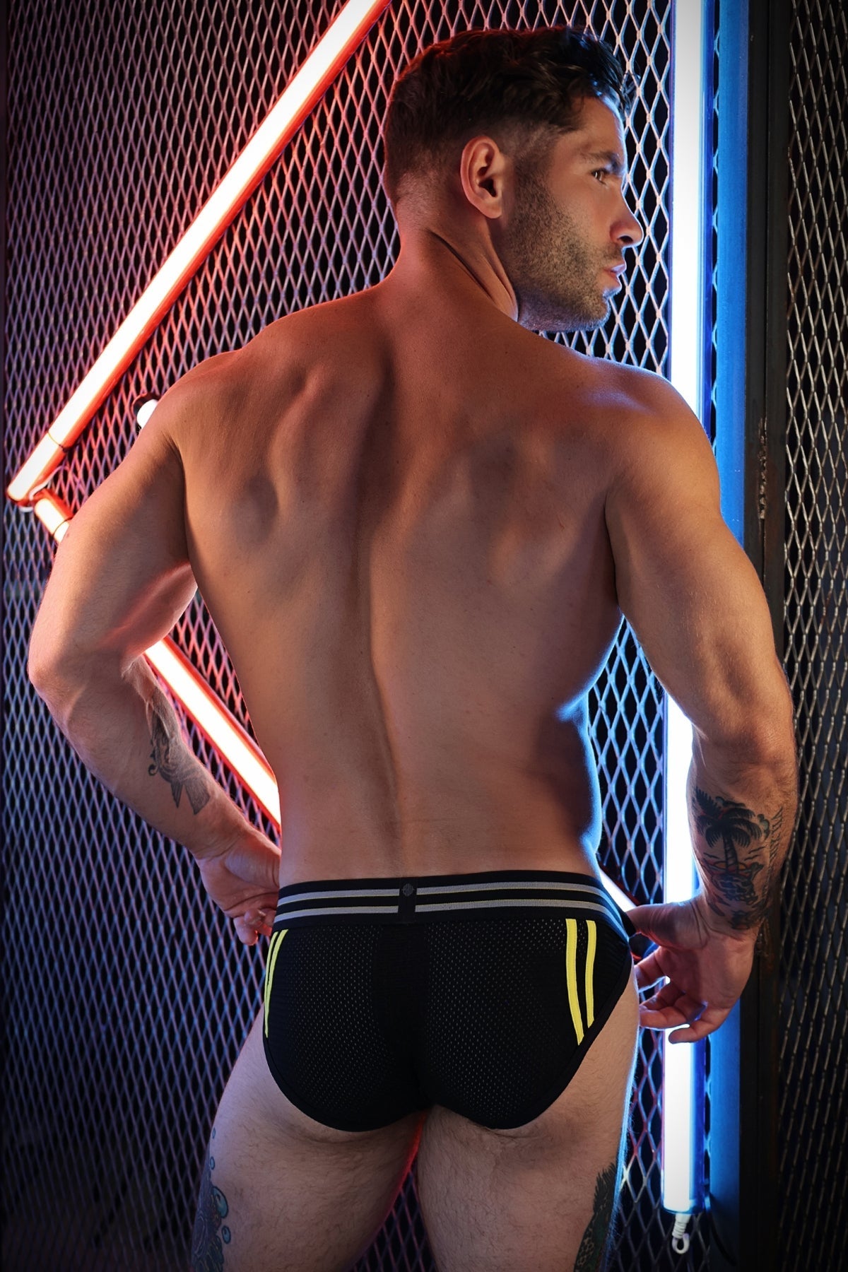 Sweat & Sin Brief - Breedwell