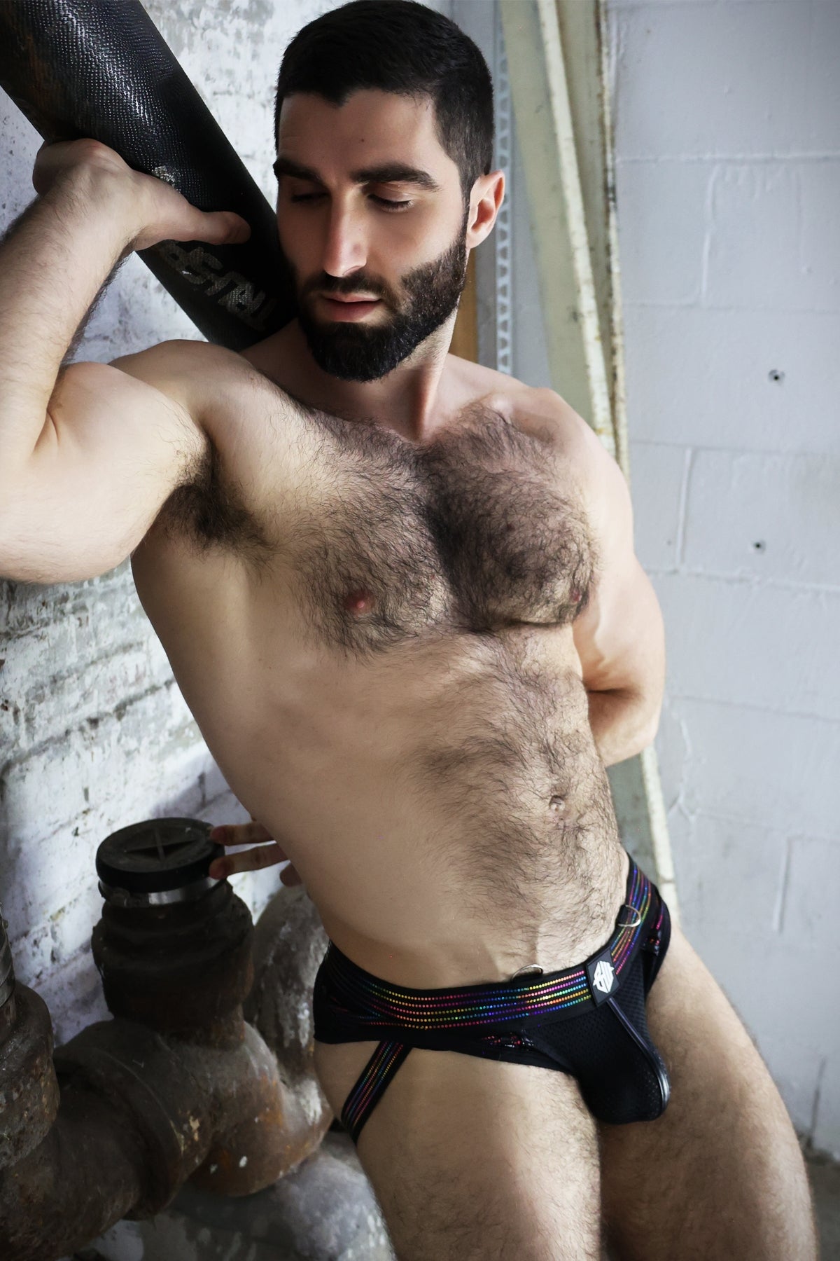 Icon Pride Brief
