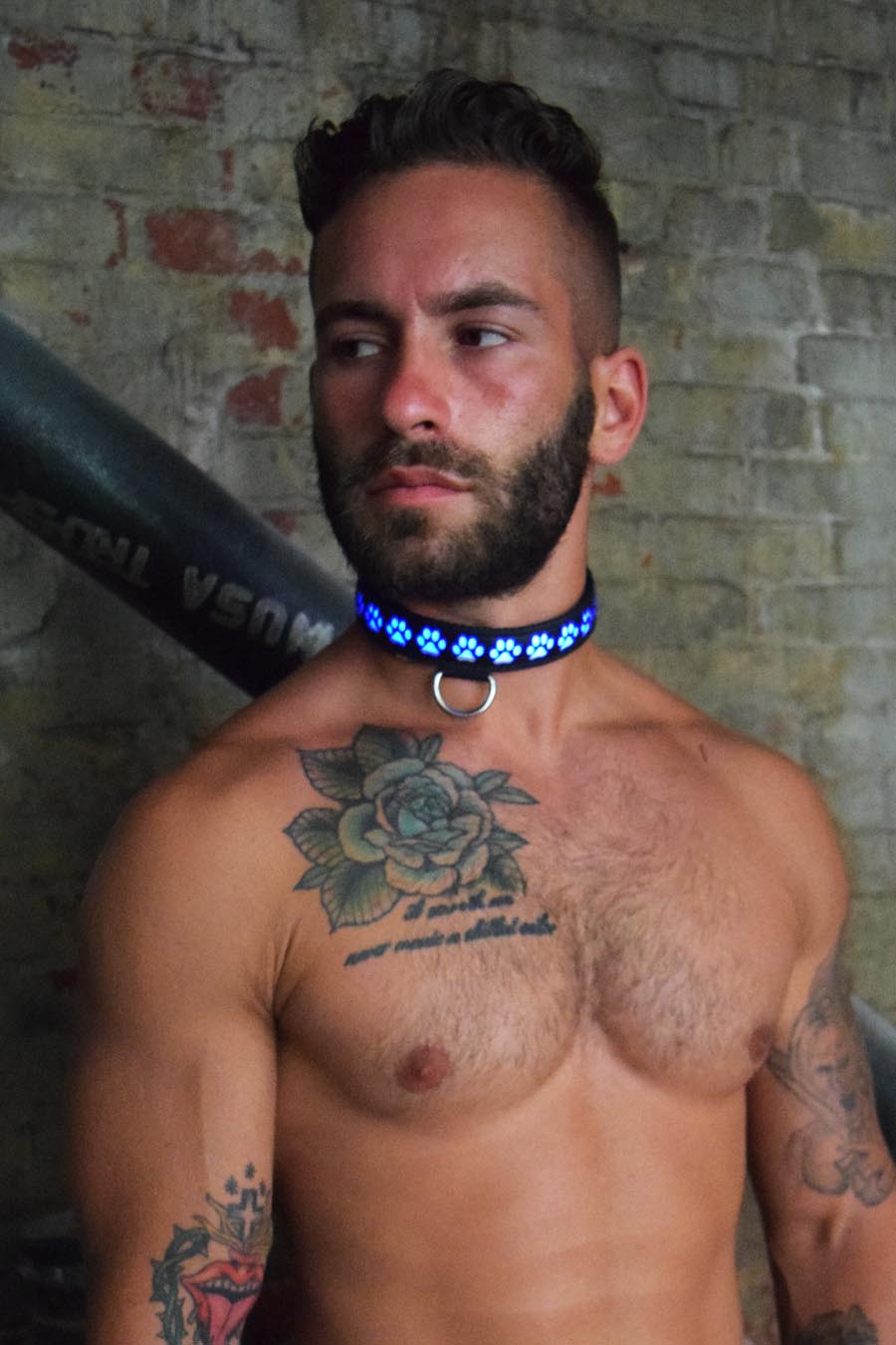 Pup Collar