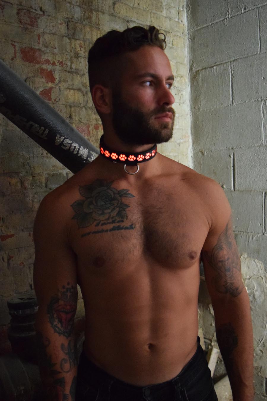 Pup Collar
