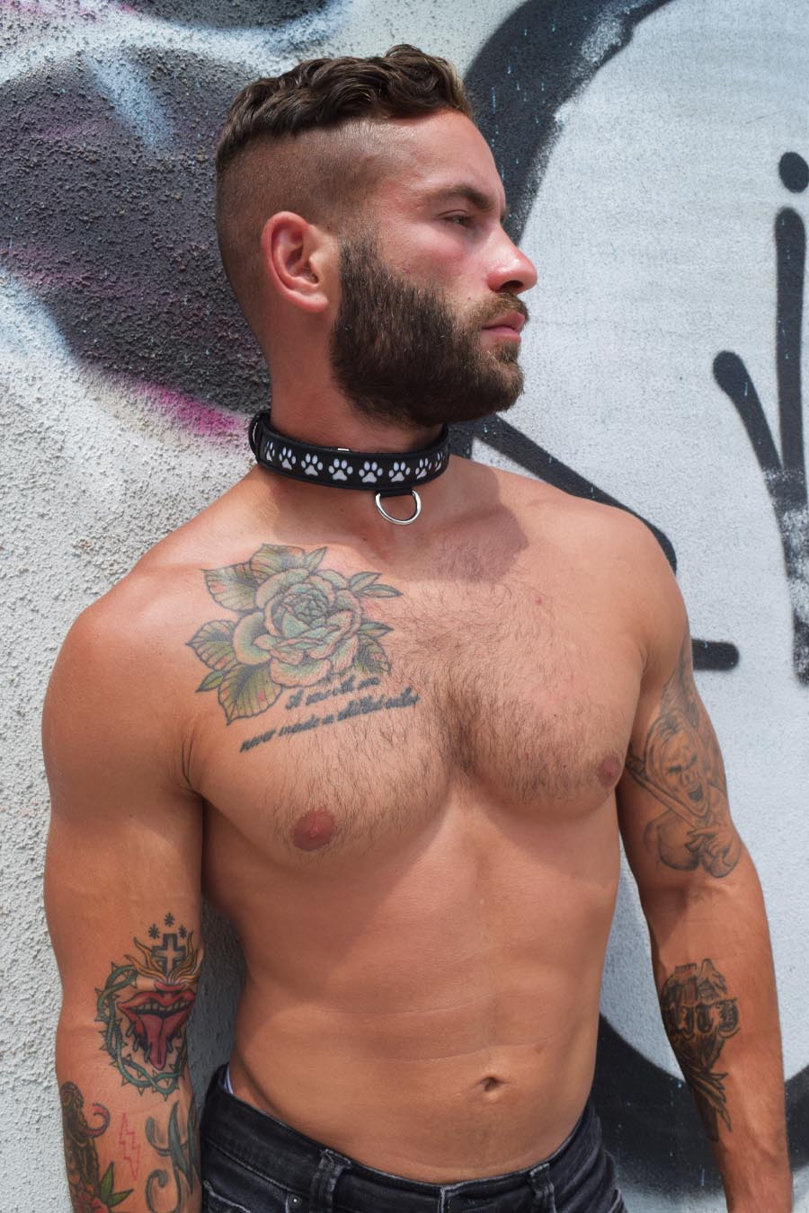Pup Collar