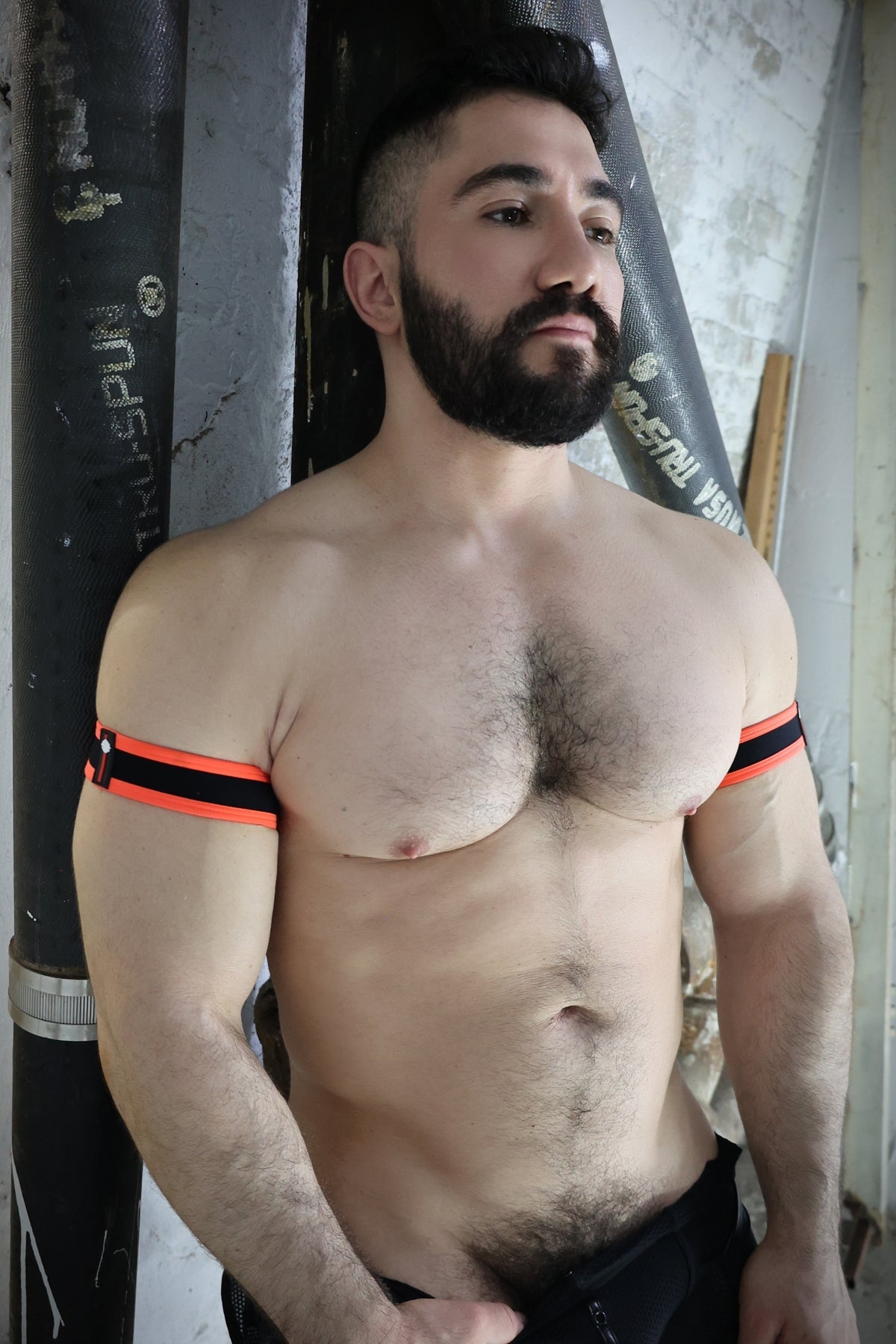 After Dark Armbands - Breedwell