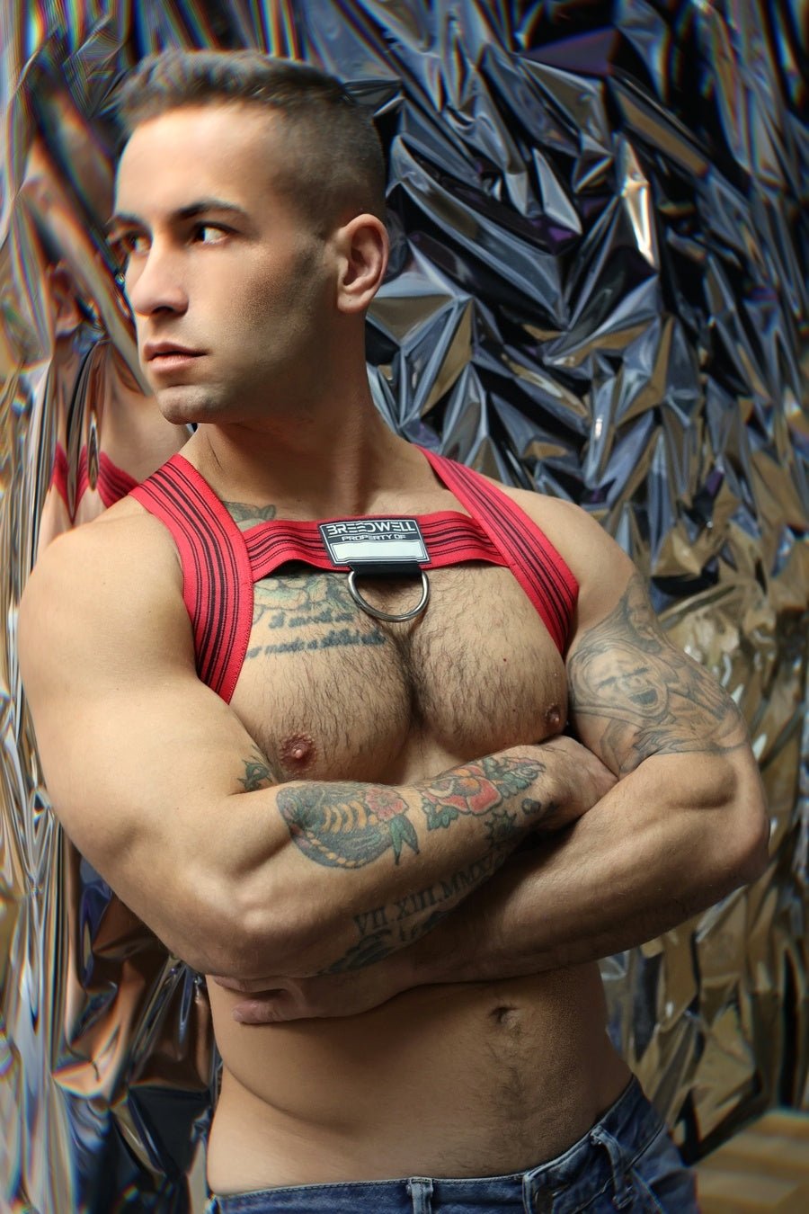 Cumdump Bulldog Harness - Breedwell