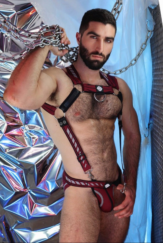 Mister Luxe Body Harness - Breedwell